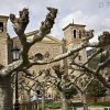 Potes