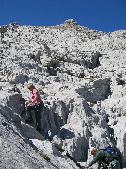 Scrambling in the Picos