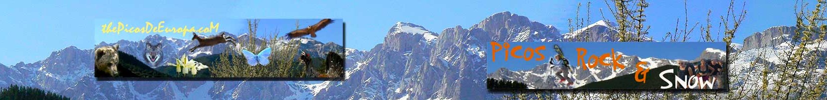 The Picos de Europa The Picos de Europa