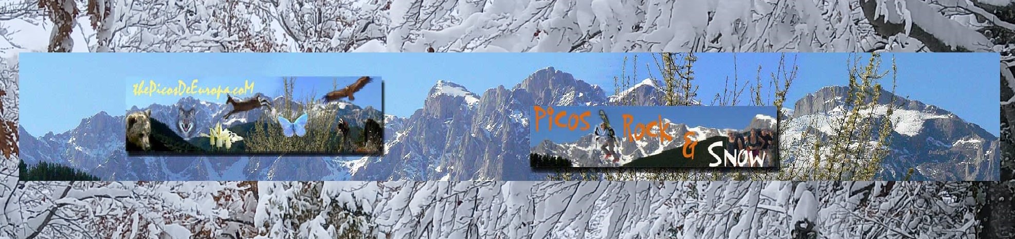 The Picos de Europa