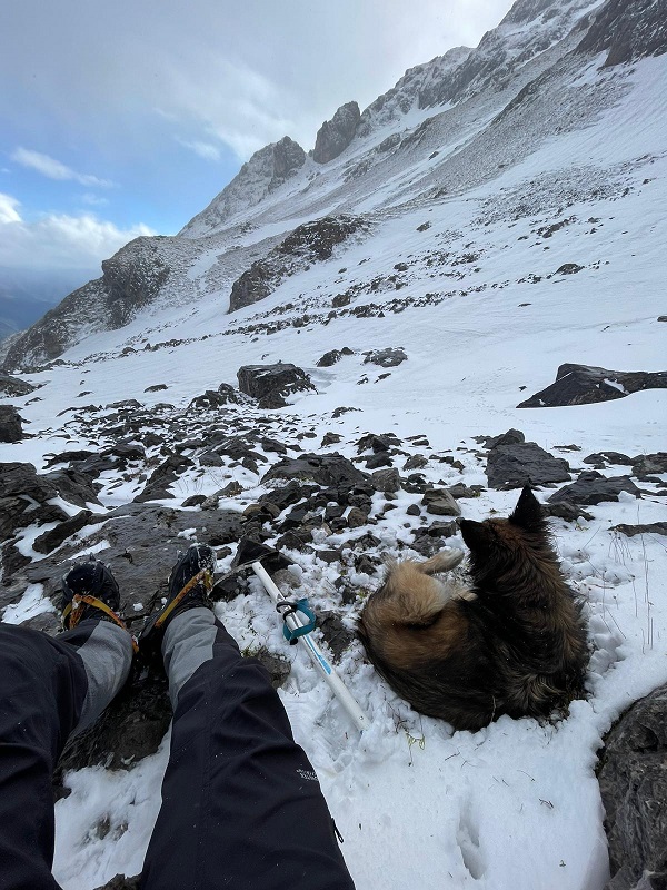 Lobita snuck in the transport