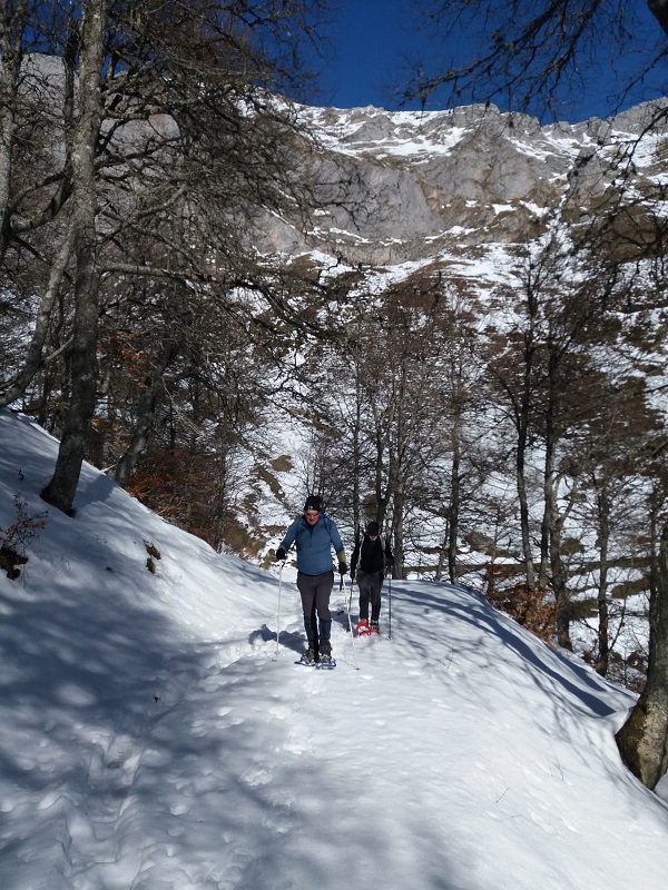 Snowshoeing Fuente De
