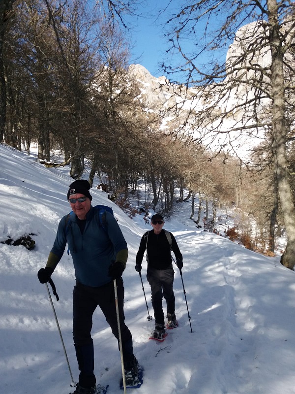 Snowshoeing in the woods