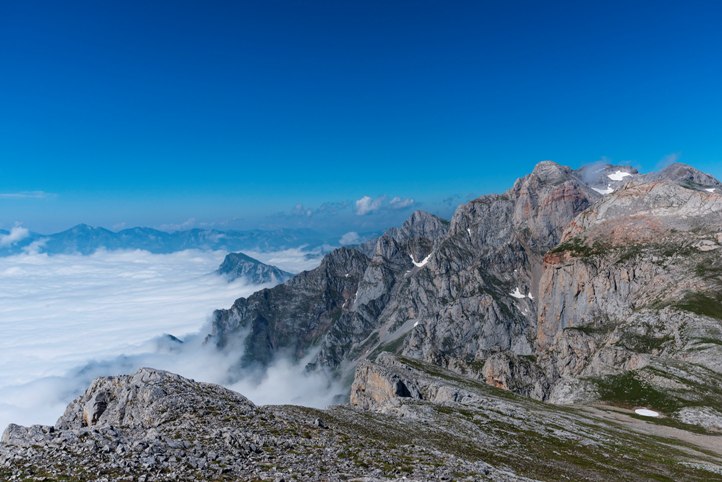 Pico Samelar Pico Samelar