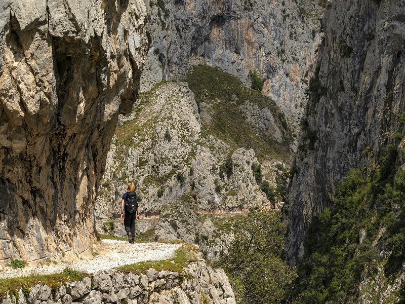 The Cares Gorge The Cares Gorge
